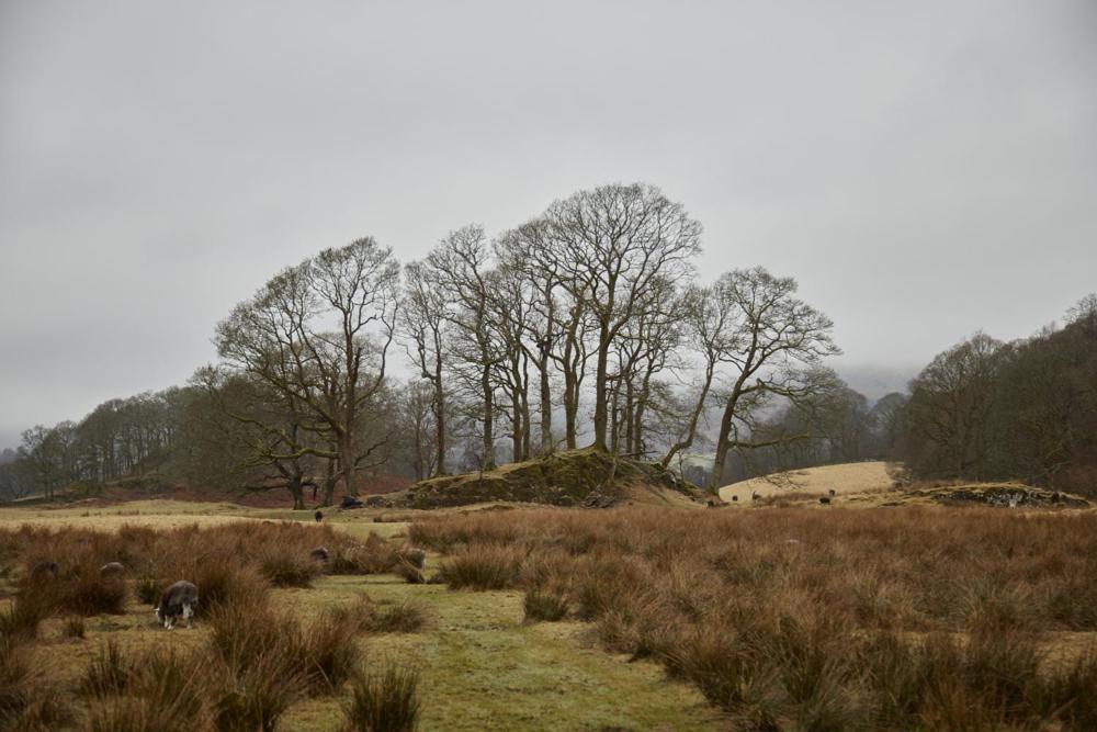 Little Nut Cottage Ambleside Esterno foto