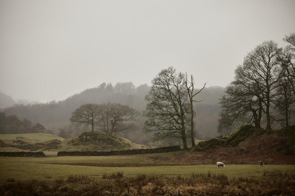 Little Nut Cottage Ambleside Esterno foto